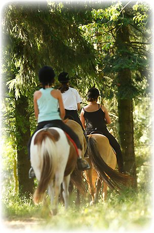 Promenade à cheval dans la nature Promenade à cheval dans la nature