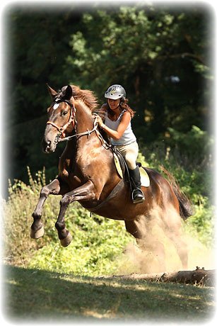 galop-pleine-nature